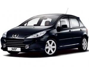 Peugeot-3071-300x224 2024