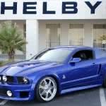 Shelby-150x150 2024