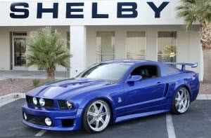 Shelby-300x197 2024