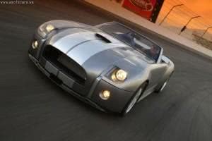 novo-Shelby-300x200 2024