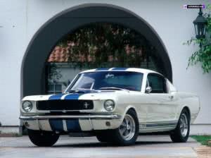 preco-Shelby-300x224 2024