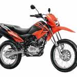 ficha-tecnica-honda-nxr-1501-150x150 2024