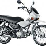 ficha-tecnica-honda-pop-1001-150x150 2024