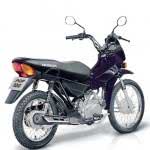 fotos-da-honda-pop-100-150x150 2024