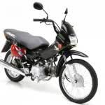 honda-pop-100-150x150 2024