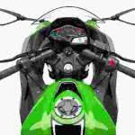 moto-kawasaki-ninja-300-150x150 2024