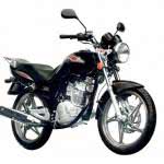 moto-suzuki-yes-150x150 2024