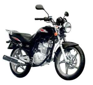 moto-suzuki-yes-300x275 2024