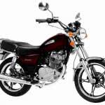 nova-suzuki-intruder-150x150 2024