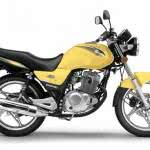 nova-suzuki-yes1-150x150 2024