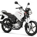 nova-yamaha-factor-150x150 2024