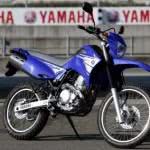 preco-yamaha-lander-150x150 2024