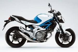 suzuki-gladius-300x199 2024