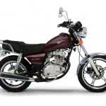 suzuki-intruder-150x150 2024