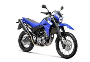 yamaha-660r-fotos-300x206 2024