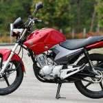 yamaha-ybr-150x150 2024