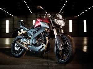 yamaha-mt-125-ficha-tecnica-300x224 2024